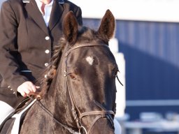 IMG_7672_web